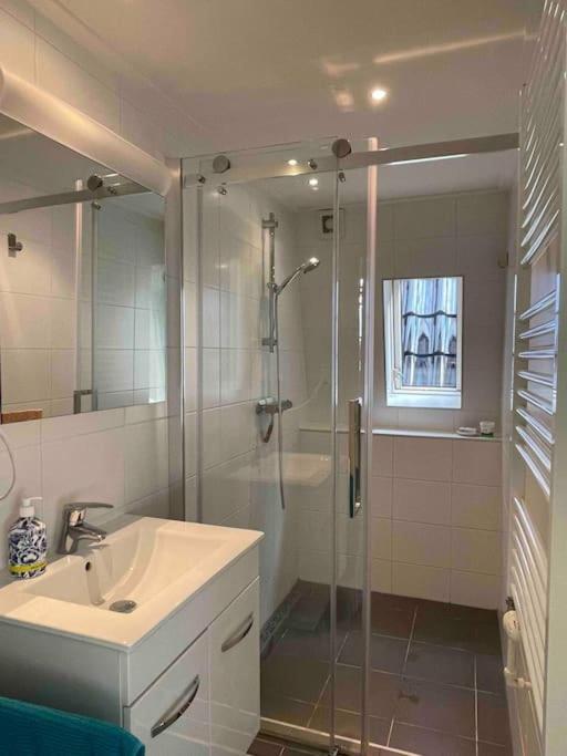 In Shared Duplex Close To The Center & Umcg * Groningen