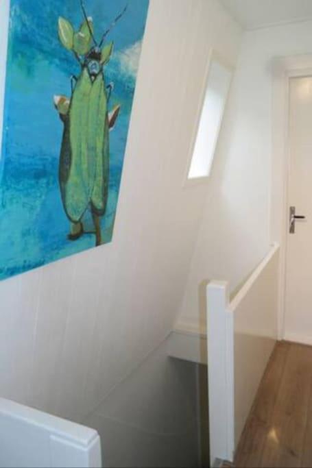 In Shared Duplex Close To The Center & Umcg