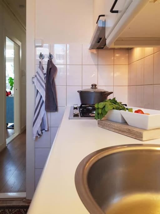 In Shared Duplex Close To The Center & Umcg Appartement Groningen